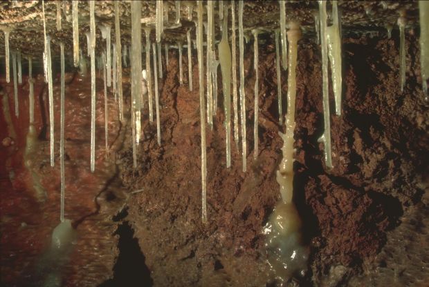 Kartchner Caverns